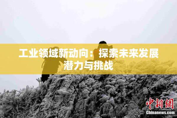 工业领域新动向：探索未来发展潜力与挑战