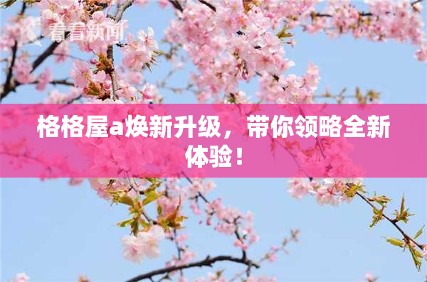 格格屋a焕新升级，带你领略全新体验！
