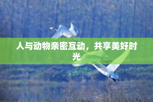 人与动物亲密互动，共享美好时光