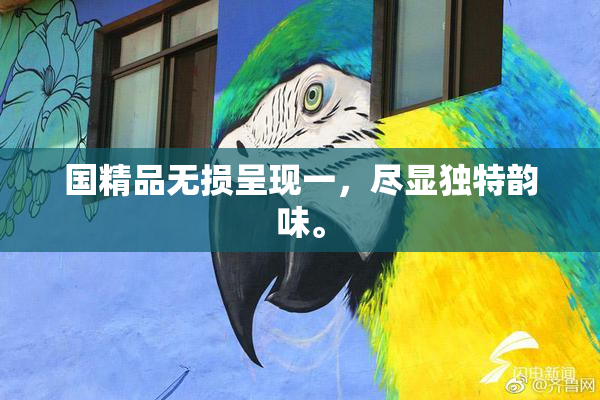国精品无损呈现一，尽显独特韵味。