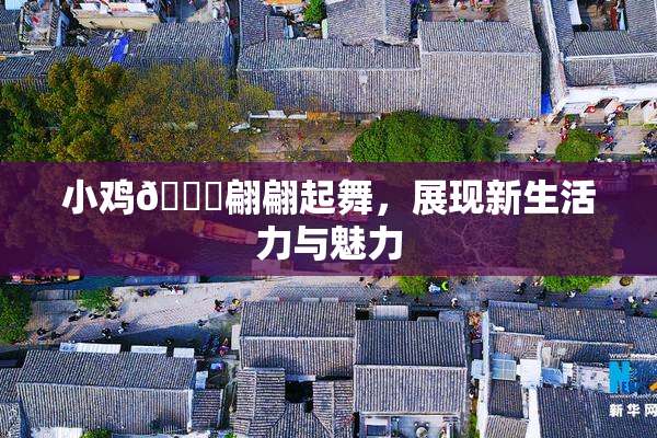 小鸡🐔翩翩起舞，展现新生活力与魅力