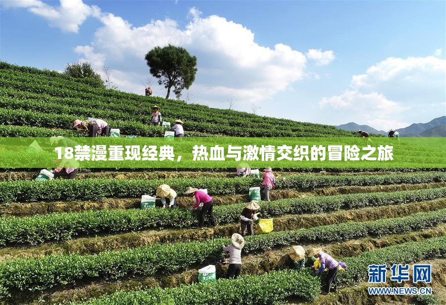 18禁漫重现经典，热血与激情交织的冒险之旅