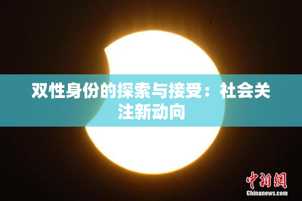 双性身份的探索与接受：社会关注新动向