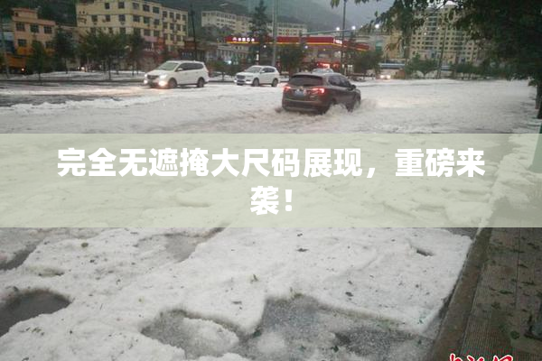 完全无遮掩大尺码展现，重磅来袭！