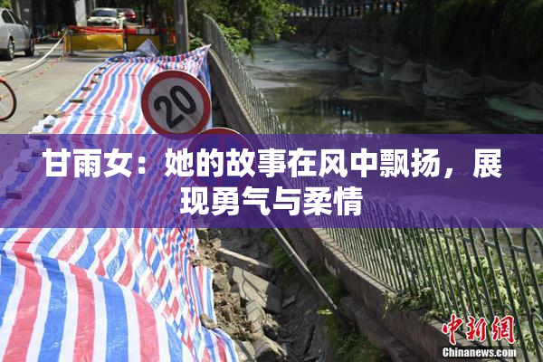 甘雨女：她的故事在风中飘扬，展现勇气与柔情