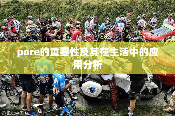 pore的重要性及其在生活中的应用分析