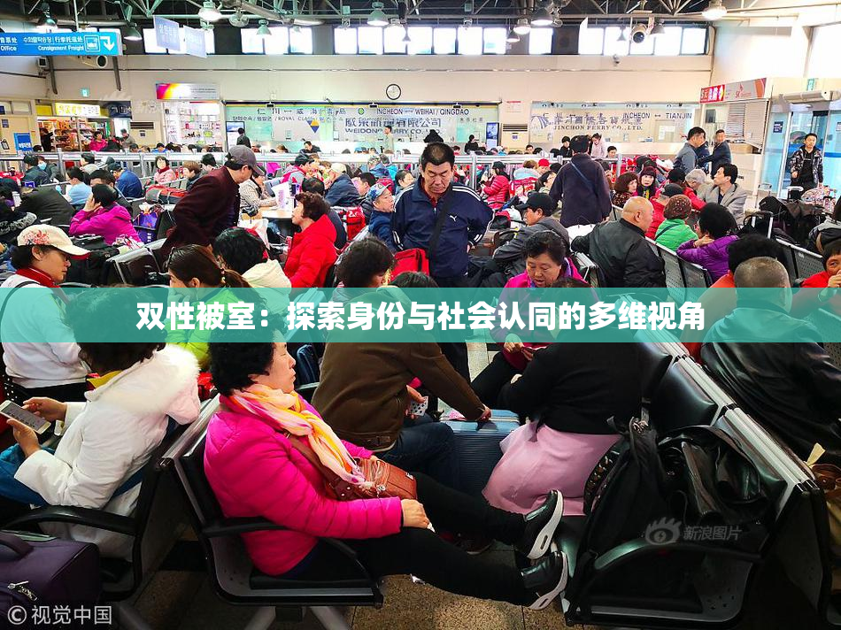 双性被室：探索身份与社会认同的多维视角