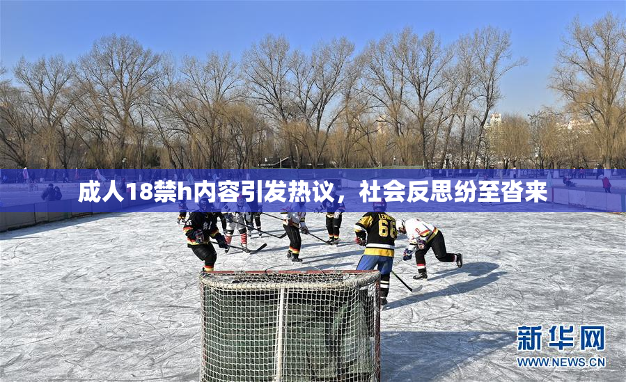 成人18禁h内容引发热议，社会反思纷至沓来