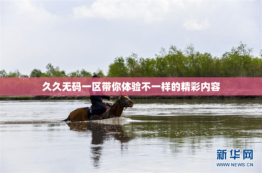 久久无码一区带你体验不一样的精彩内容