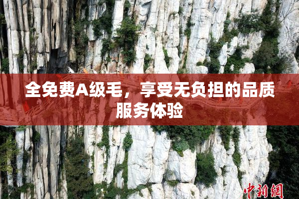 全免费A级毛，享受无负担的品质服务体验