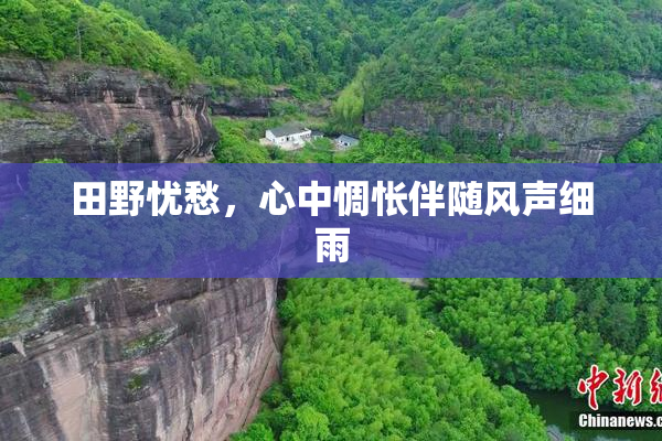 田野忧愁，心中惆怅伴随风声细雨