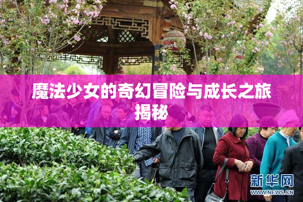 魔法少女的奇幻冒险与成长之旅揭秘