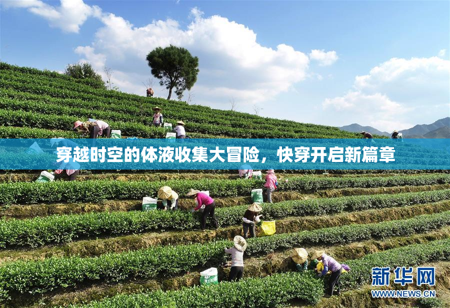 穿越时空的体液收集大冒险，快穿开启新篇章