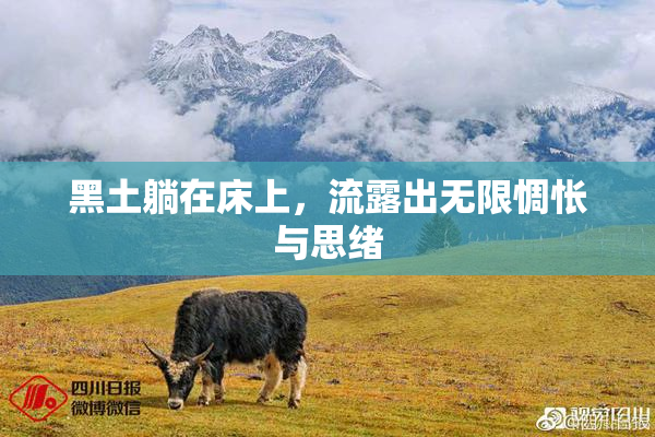 黑土躺在床上，流露出无限惆怅与思绪