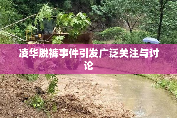 凌华脱裤事件引发广泛关注与讨论