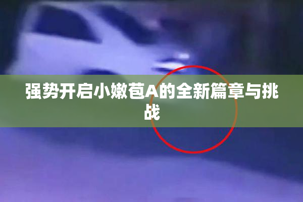 强势开启小嫩苞A的全新篇章与挑战