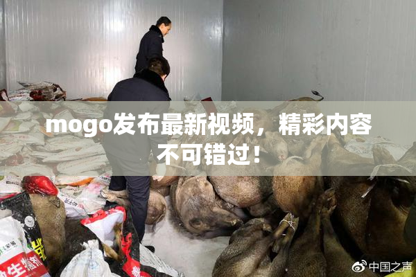 mogo发布最新视频，精彩内容不可错过！