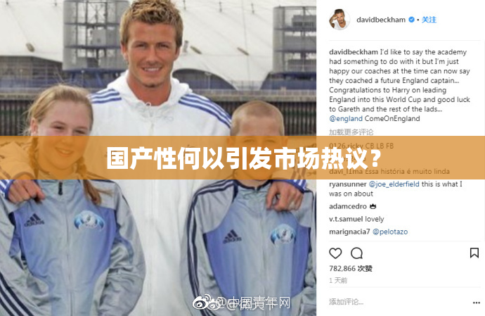 国产性何以引发市场热议？