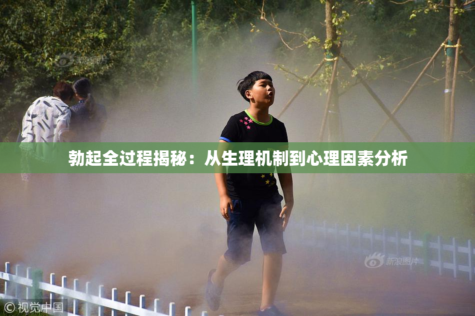 勃起全过程揭秘：从生理机制到心理因素分析