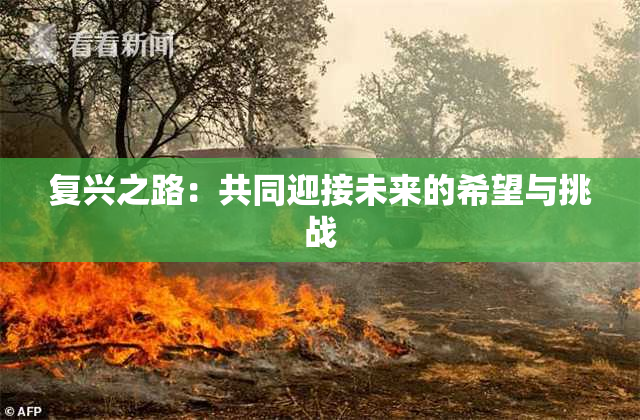 复兴之路：共同迎接未来的希望与挑战