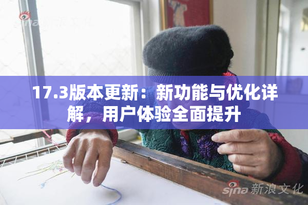 17.3版本更新：新功能与优化详解，用户体验全面提升