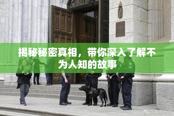 揭秘秘密真相，带你深入了解不为人知的故事