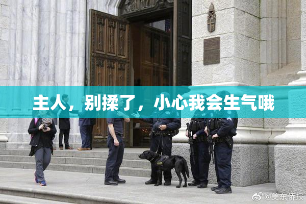 主人，别揉了，小心我会生气哦