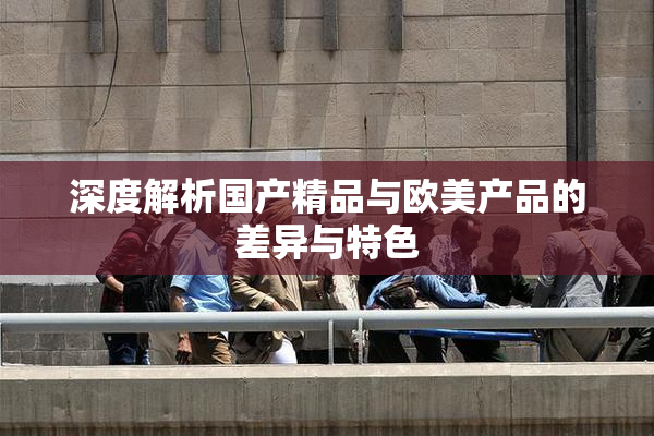 深度解析国产精品与欧美产品的差异与特色