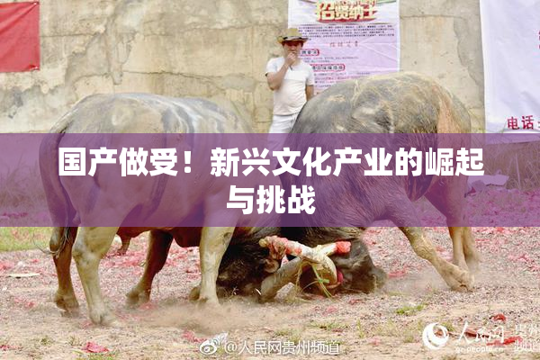 国产做受！新兴文化产业的崛起与挑战