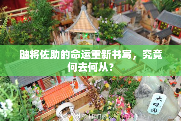 鼬将佐助的命运重新书写，究竟何去何从？
