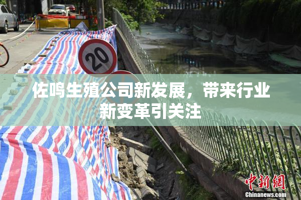 佐鸣生殖公司新发展，带来行业新变革引关注