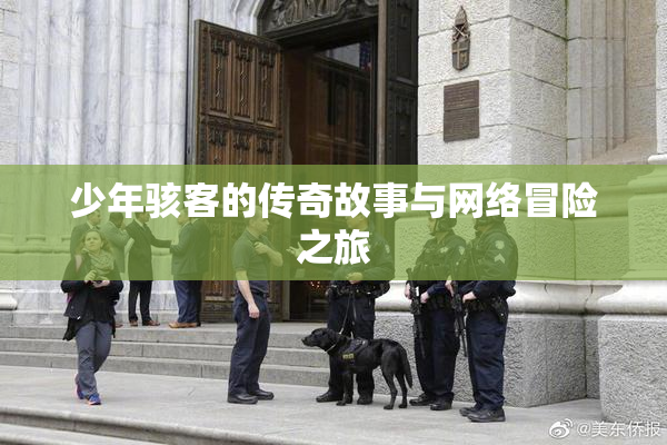 少年骇客的传奇故事与网络冒险之旅