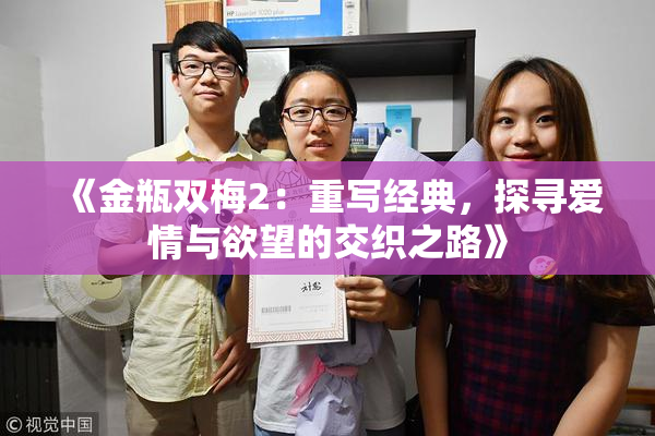 《金瓶双梅2：重写经典，探寻爱情与欲望的交织之路》