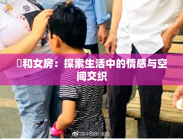 巜和女房：探索生活中的情感与空间交织