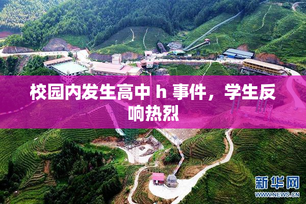 校园内发生高中 h 事件，学生反响热烈