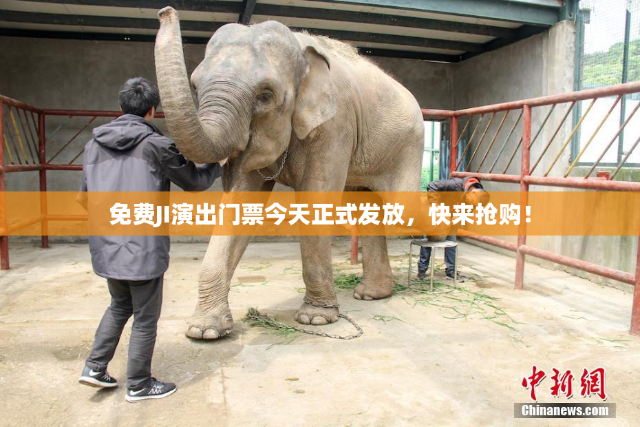 免费JI演出门票今天正式发放，快来抢购！