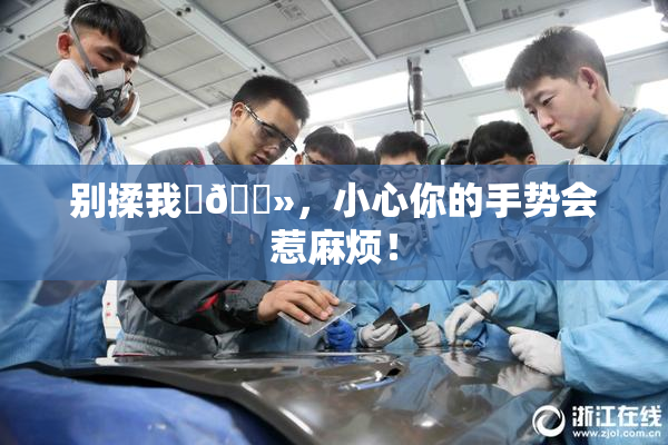 别揉我‌🐻，小心你的手势会惹麻烦！