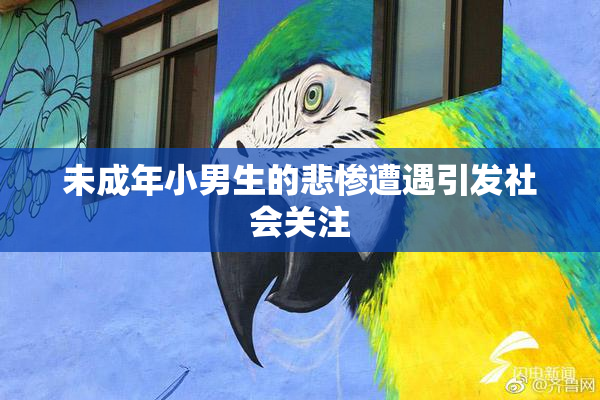 未成年小男生的悲惨遭遇引发社会关注
