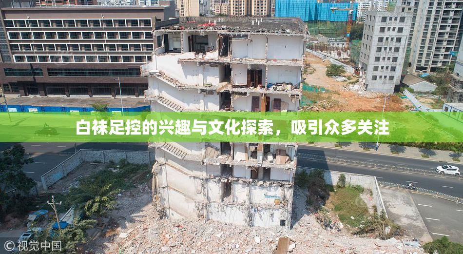 白袜足控的兴趣与文化探索，吸引众多关注