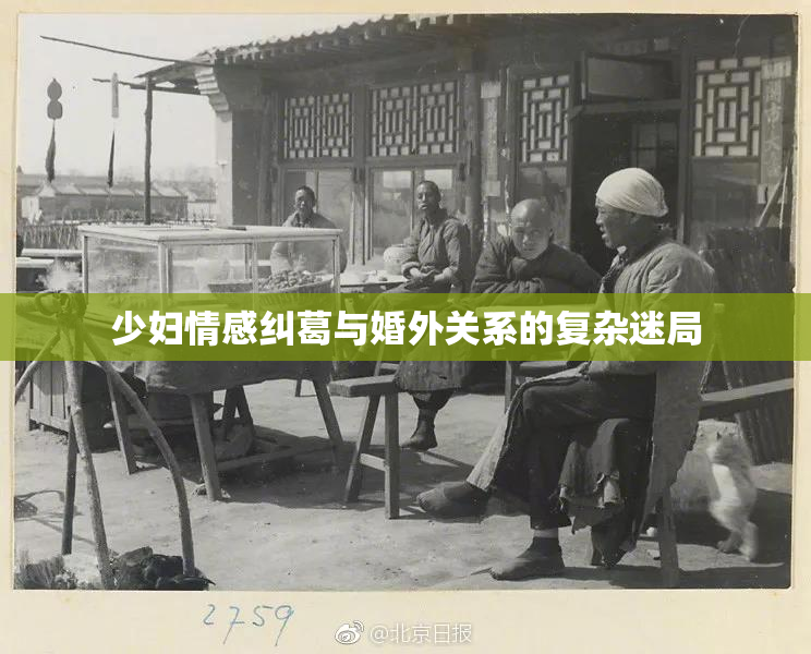 少妇情感纠葛与婚外关系的复杂迷局