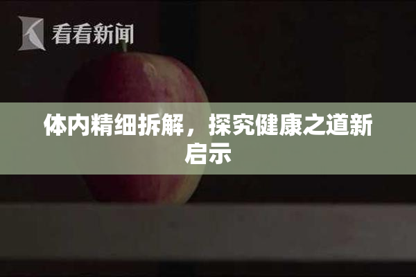 体内精细拆解，探究健康之道新启示