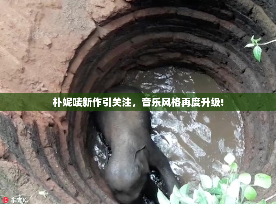 朴妮唛新作引关注，音乐风格再度升级!