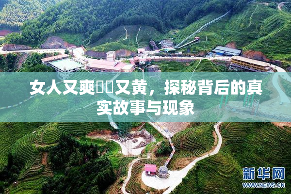 女人又爽❌‌又黄，探秘背后的真实故事与现象