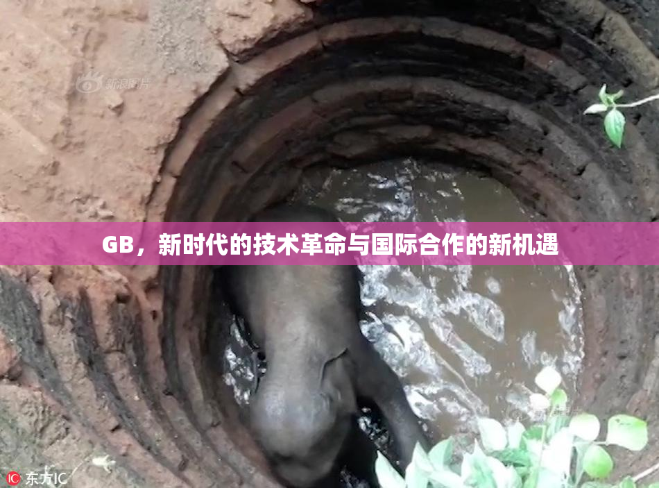 GB，新时代的技术革命与国际合作的新机遇