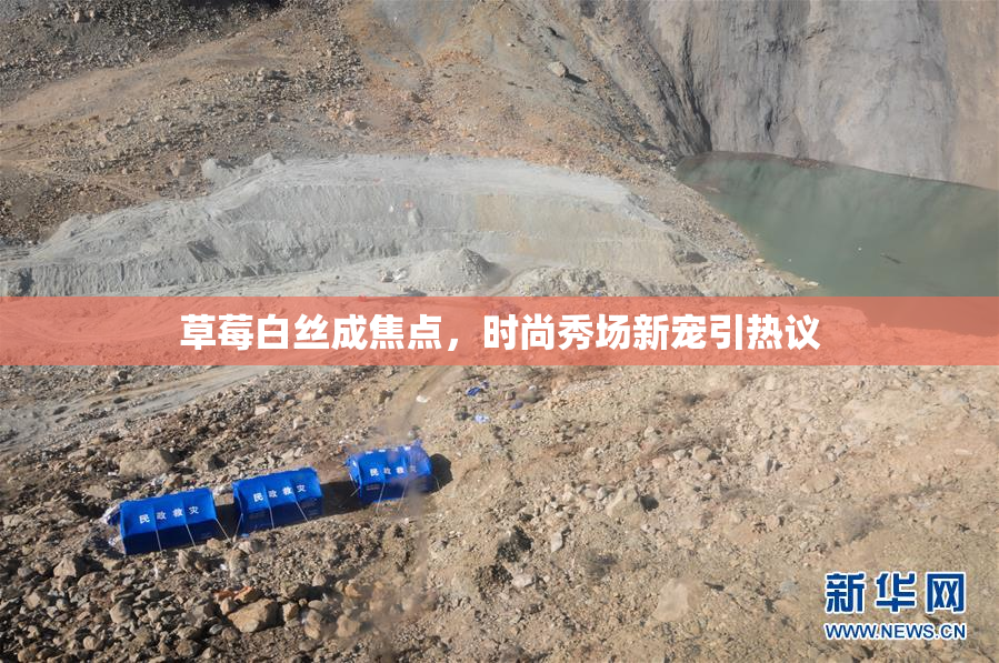 草莓白丝成焦点，时尚秀场新宠引热议