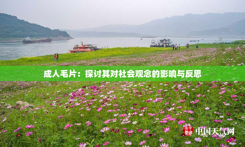 成人毛片：探讨其对社会观念的影响与反思