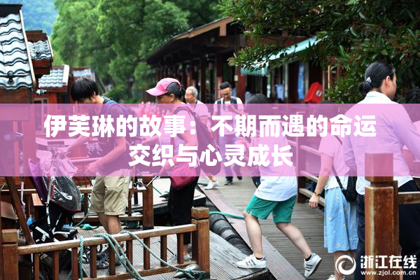 伊芙琳的故事：不期而遇的命运交织与心灵成长