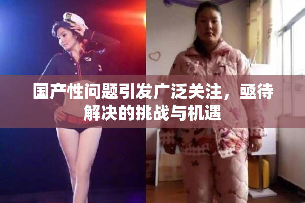 国产性问题引发广泛关注，亟待解决的挑战与机遇