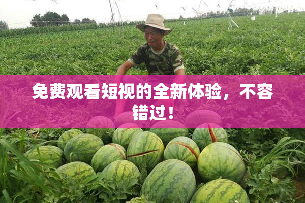 免费观看短视的全新体验，不容错过！