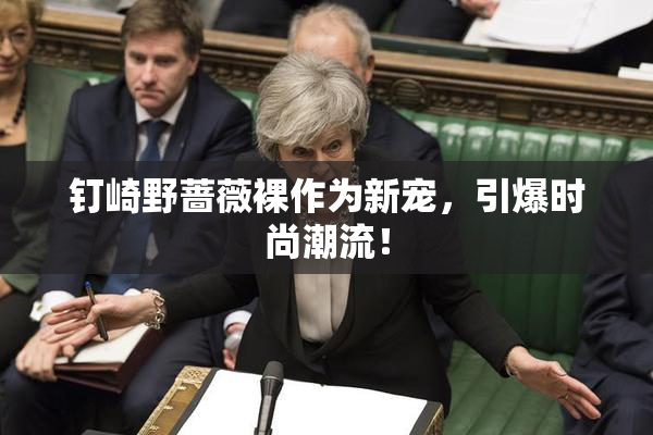 钉崎野蔷薇裸作为新宠，引爆时尚潮流！